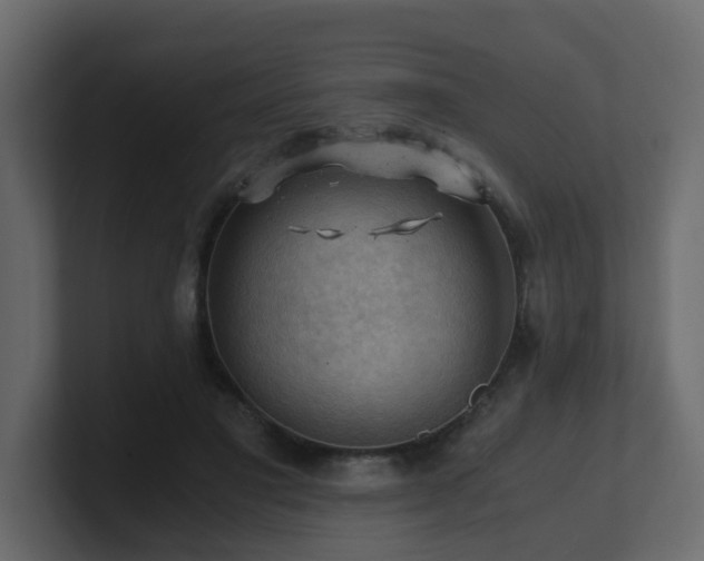 X0000100930501200806241408