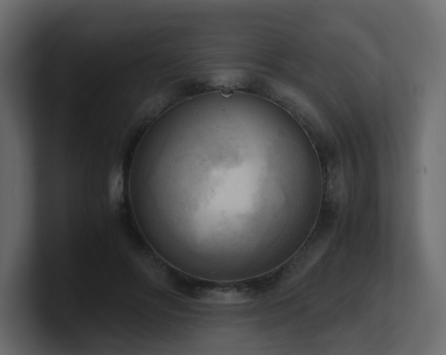 X0000100930502200806241408