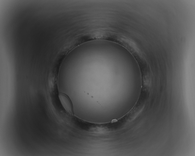 X0000100930503200806241408