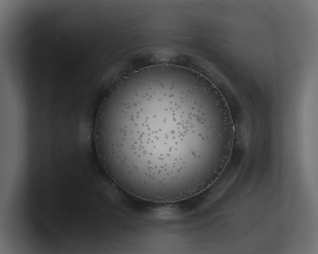 X0000100930505200806241408