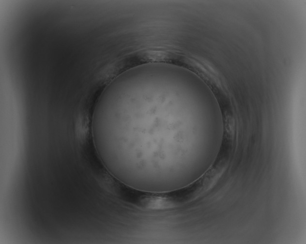 X0000100930507200806241408