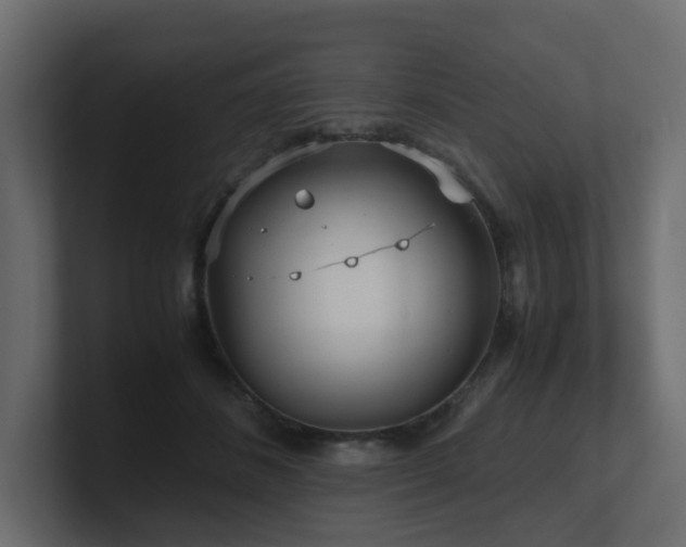 X0000100930508200806241408