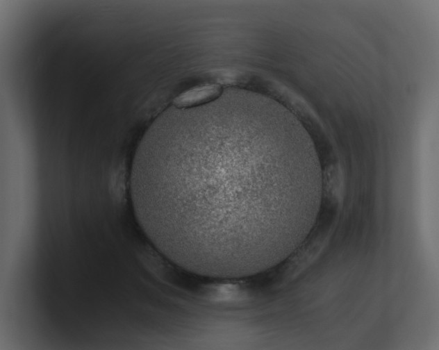 X0000100930509200806241408