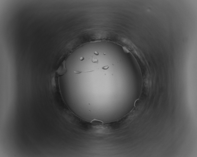 X0000100930516200806241408