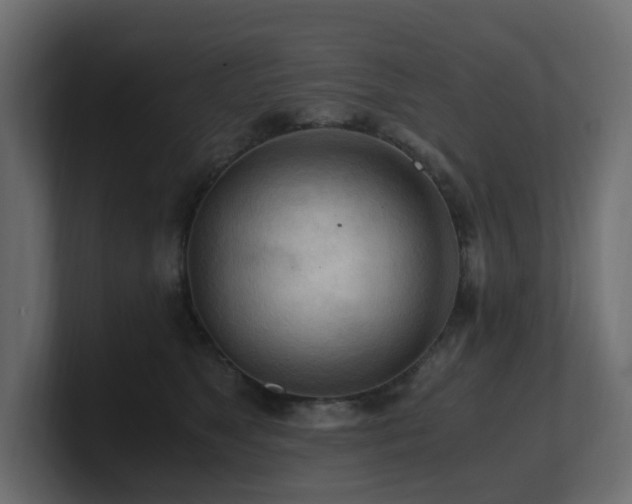 X0000100930517200806241408