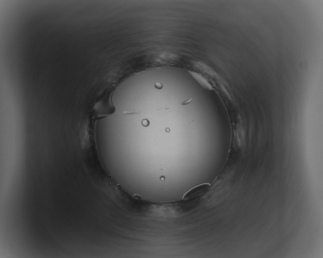 X0000100930520200806241408