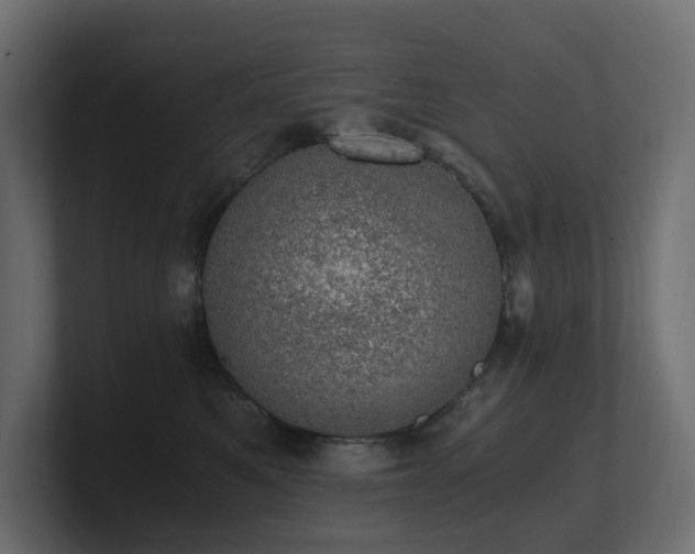 X0000100930521200806241408