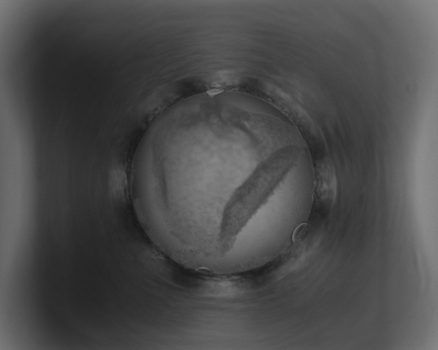 X0000100930523200806241408