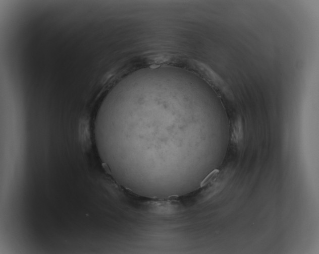 X0000100930524200806241408