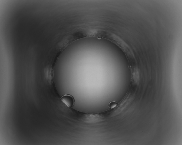 X0000100930525200806241408