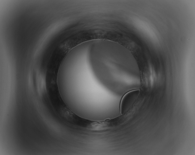 X0000100930526200806241408