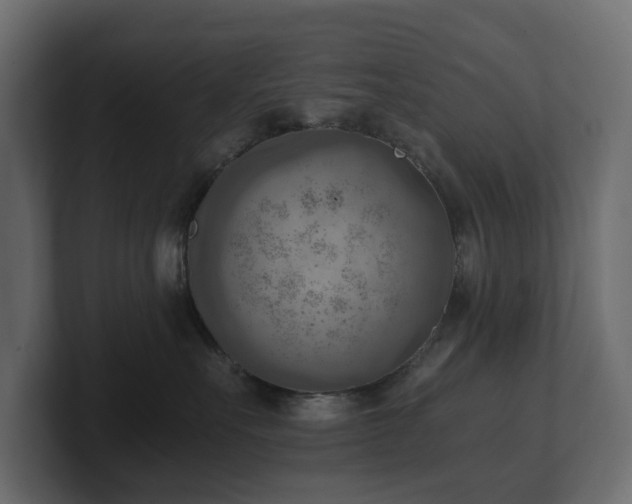 X0000100930527200806241408