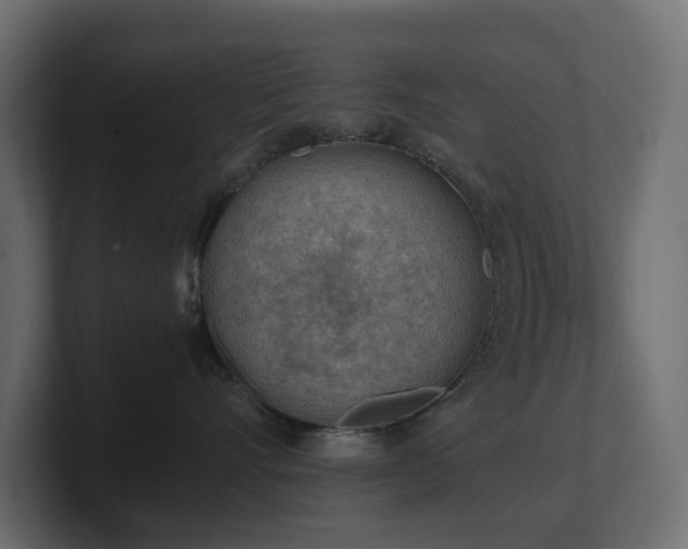 X0000100930528200806241408