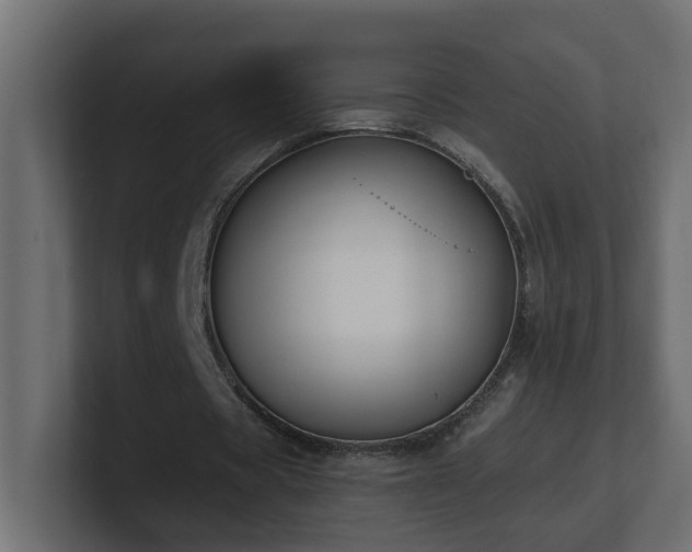 X0000100930529200806241407