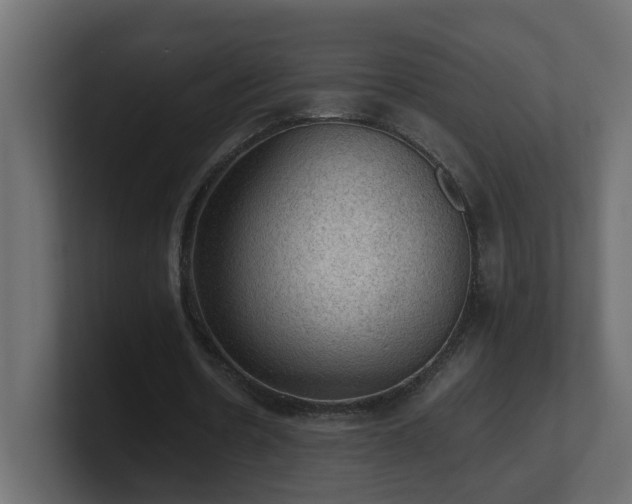 X0000100930530200806241407