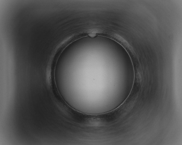 X0000100930535200806241407