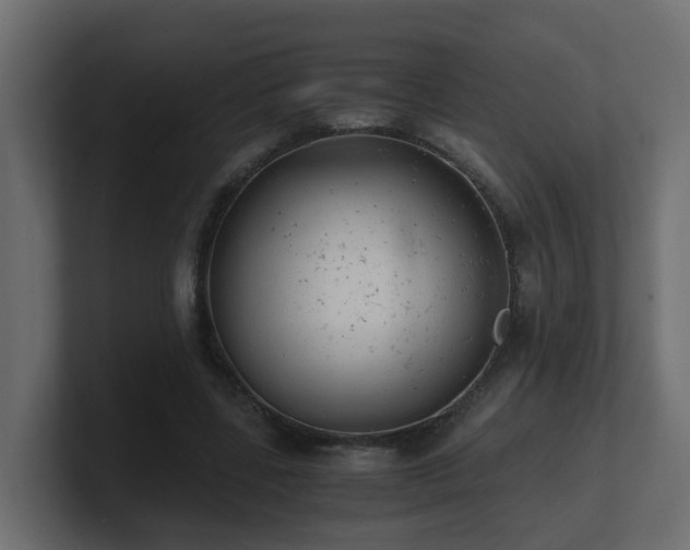 X0000100930539200806241407