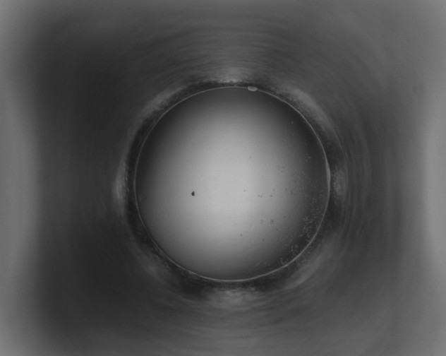 X0000100930540200806241407