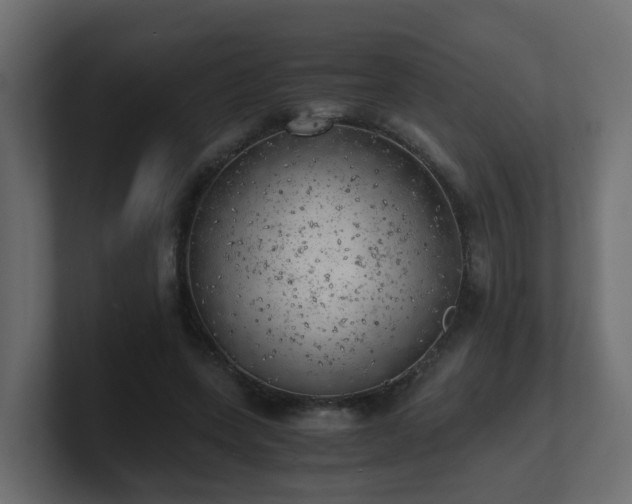 X0000100930543200806241407