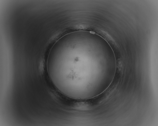 X0000100930544200806241407