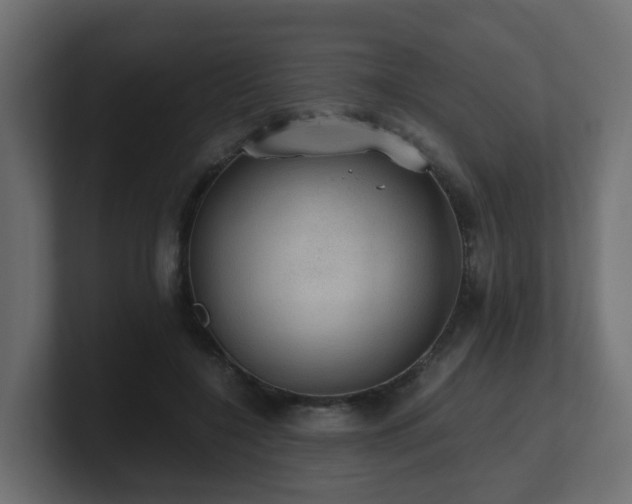 X0000100930548200806241407