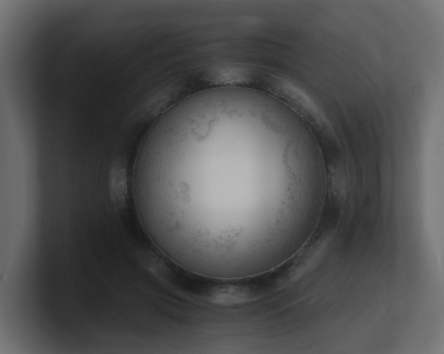 X0000100930549200806241407