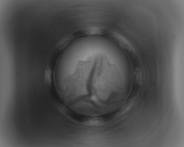 X0000100930550200806241407