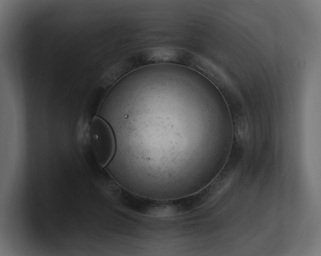 X0000100930551200806241407