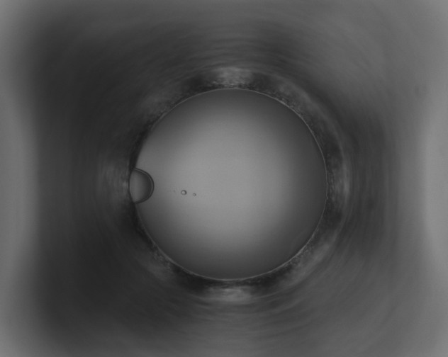 X0000100930553200806241407