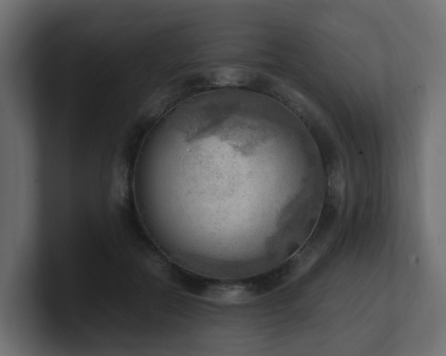 X0000100930554200806241407