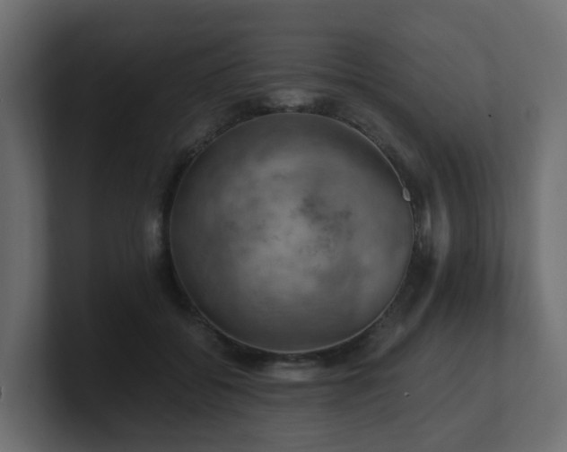 X0000100930556200806241408