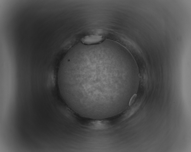 X0000100930558200806241408