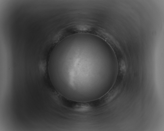 X0000100930559200806241408