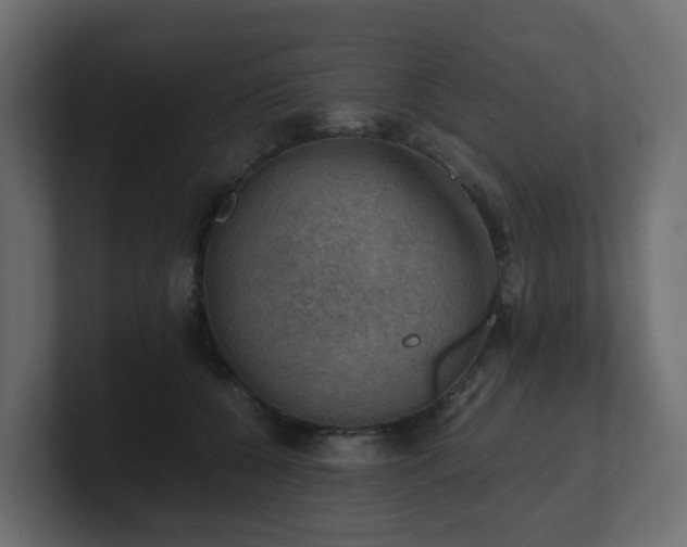 X0000100930560200806241408