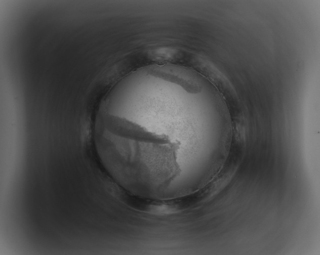 X0000100930561200806241408