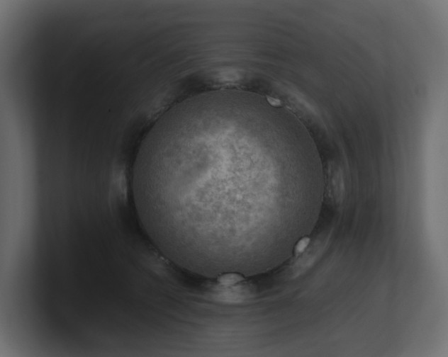 X0000100930562200806241408