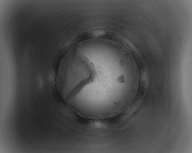 X0000100930565200806241408