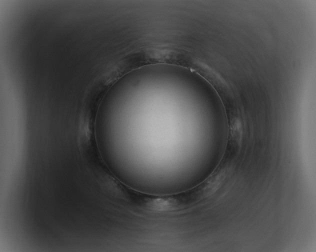 X0000100930566200806241408