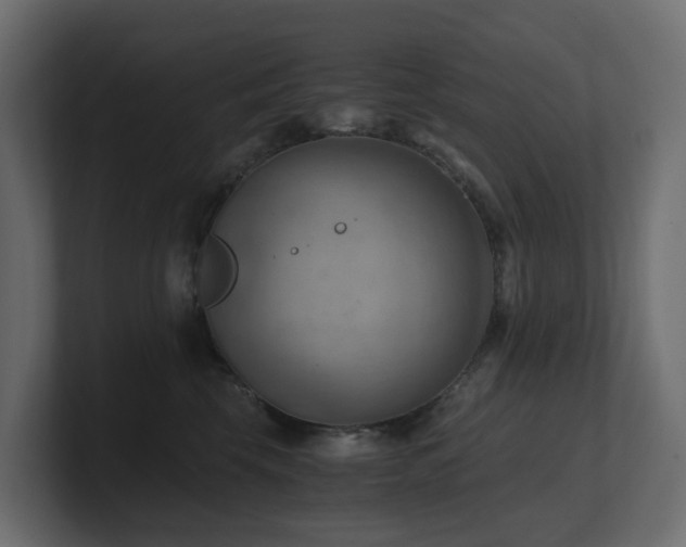 X0000100930569200806241408