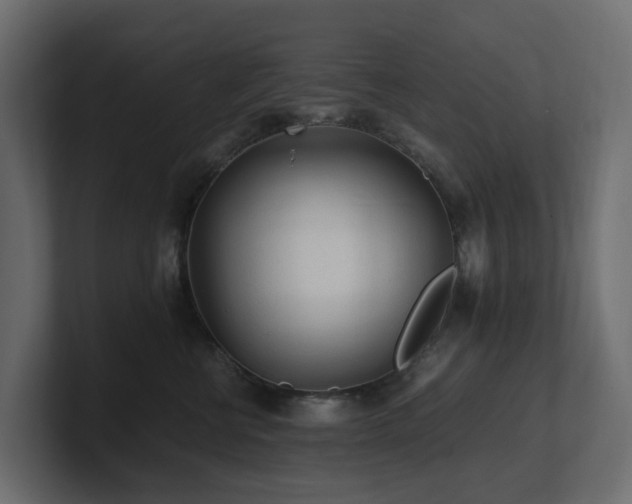 X0000100930570200806241408