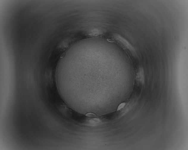 X0000100930572200806241408