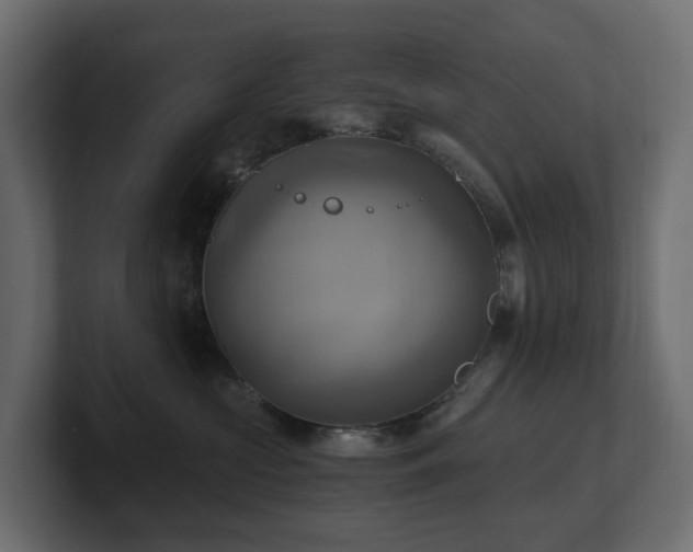 X0000100930573200806241408