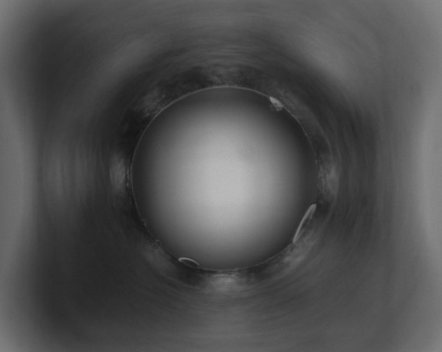 X0000100930574200806241408