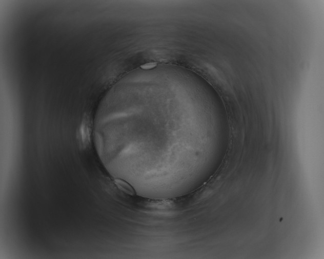 X0000100930576200806241408