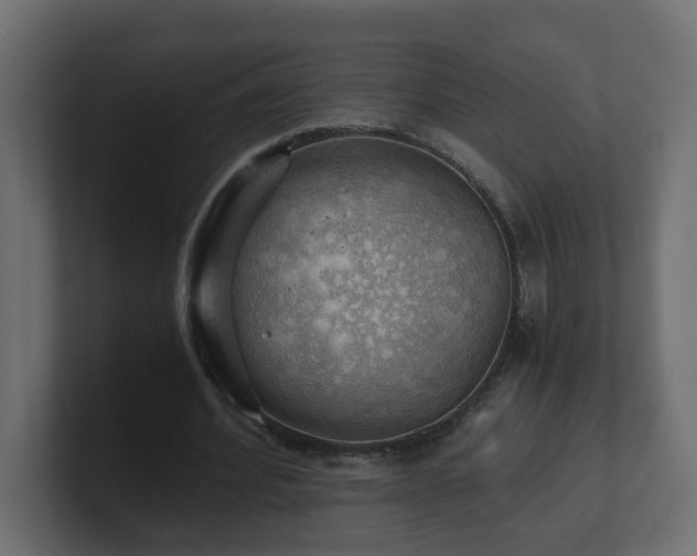 X0000100930580200806241407