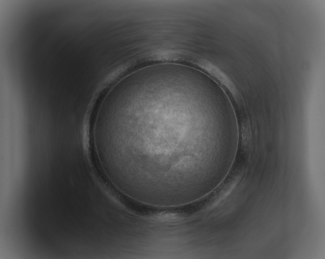 X0000100930581200806241407