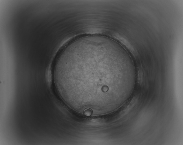 X0000100930584200806241407