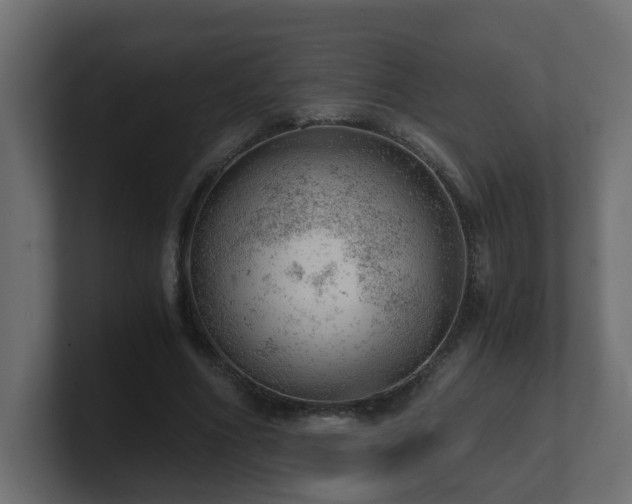 X0000100930586200806241407