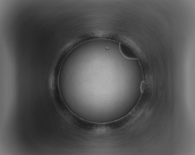 X0000100930587200806241407