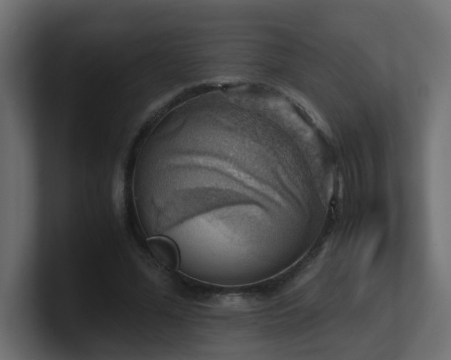 X0000100930588200806241407